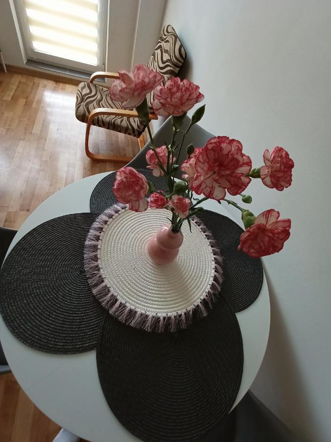 Udane Wczasy Apartment Gizycko Luaran gambar
